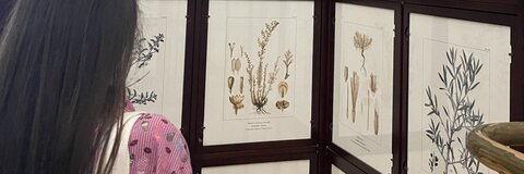 Video leaks srtaweiss