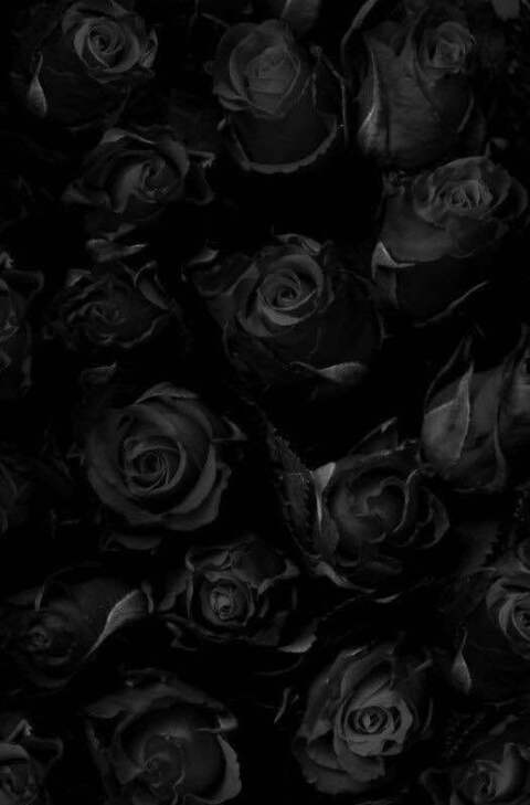 Video leaks sssweeetsss