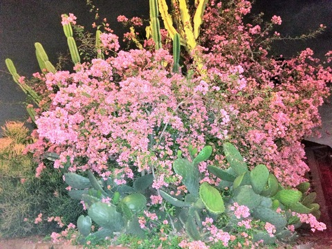 Video leaks stacisilverstone