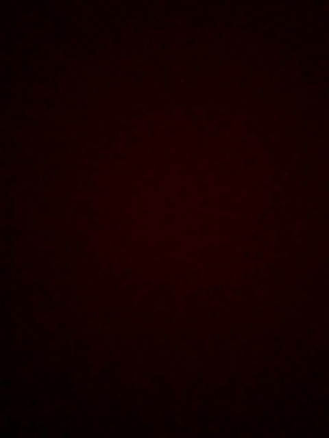 Video leaks stely2608