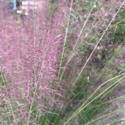 Video leaks stevi3xxx