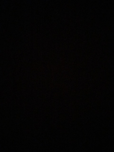 Video leaks steviewood