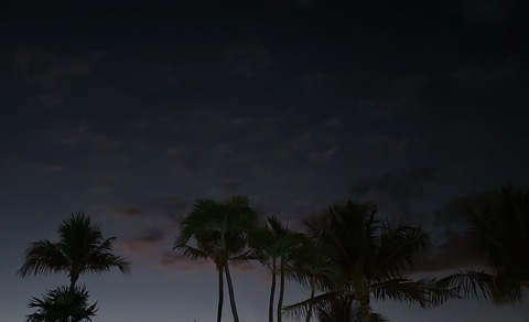 Video leaks stfusunhiko