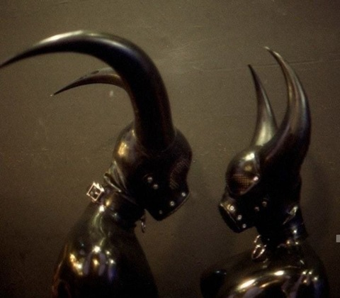 Video leaks stonedaltwh0re