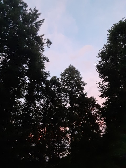 Video leaks strangestranger