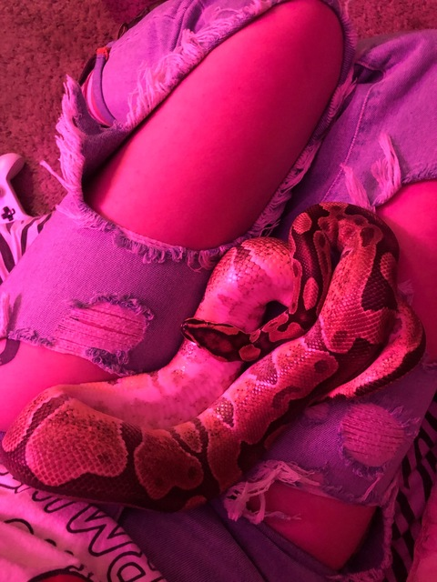 Video leaks strawberrypython