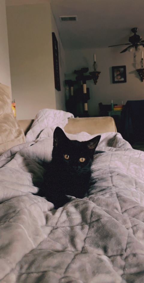 Video leaks sugaraexoxo