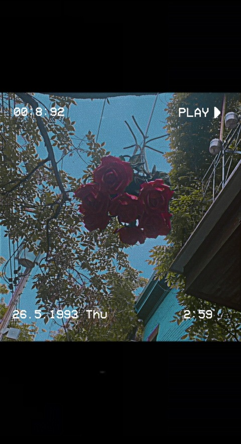 Video leaks sugarbelle_666