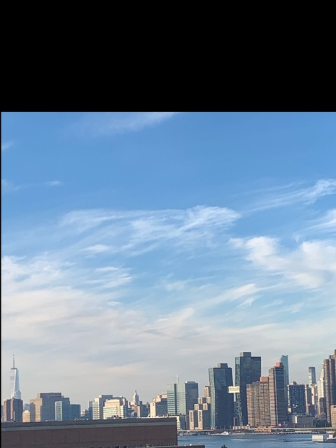 Video leaks suggashell