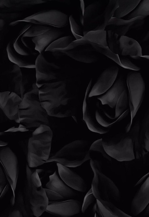 Video leaks sulinmanser