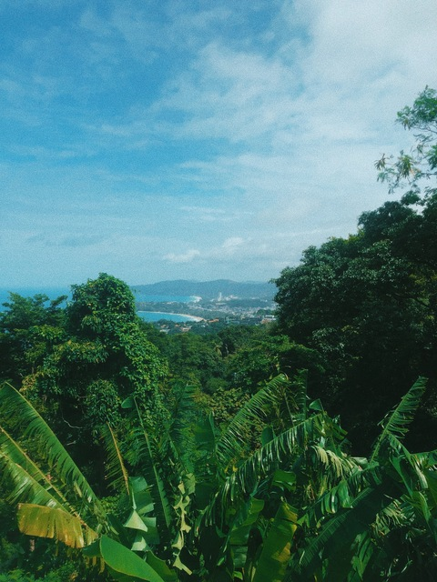 Video leaks sunflowerbebe