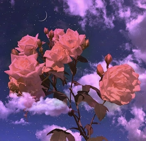 Video leaks sunflowerdolll