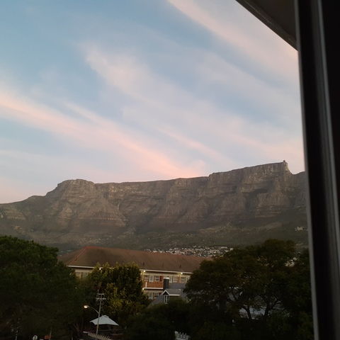 Video leaks sunflowergirlza