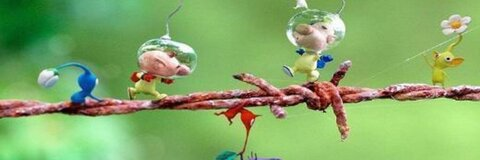 Video leaks sunnysworld