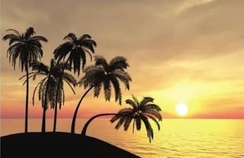 Video leaks sunshinemaddi