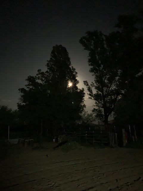 Video leaks sussanfox