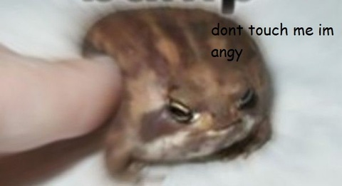 Video leaks swaggymuffins