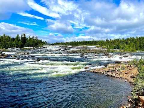 Video leaks swedish_lady