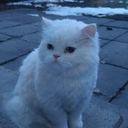 sweethoneybum Profile Picture