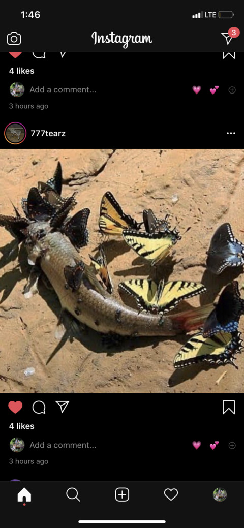 Video leaks sweetiipie