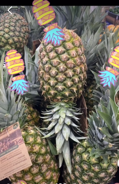 Video leaks swingset716