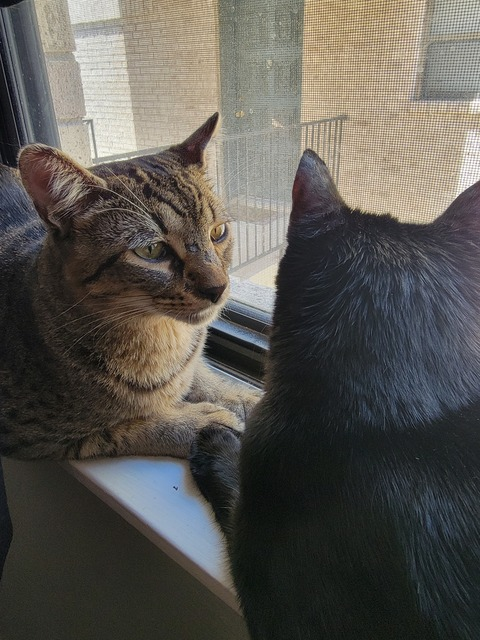 Video leaks tabmocjl70