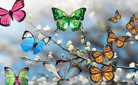 Video leaks tafurgabriela