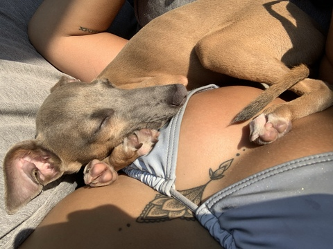 Video leaks talia_88