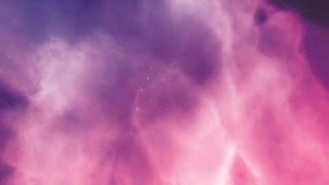 Video leaks tallywyte