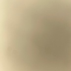 Onlyfans leaked tashathrasher01 

 profile picture