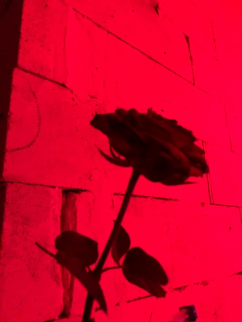 Video leaks techno_angel
