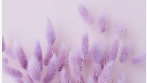 Video leaks tempermental_kitten