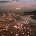 tensley Profile Picture