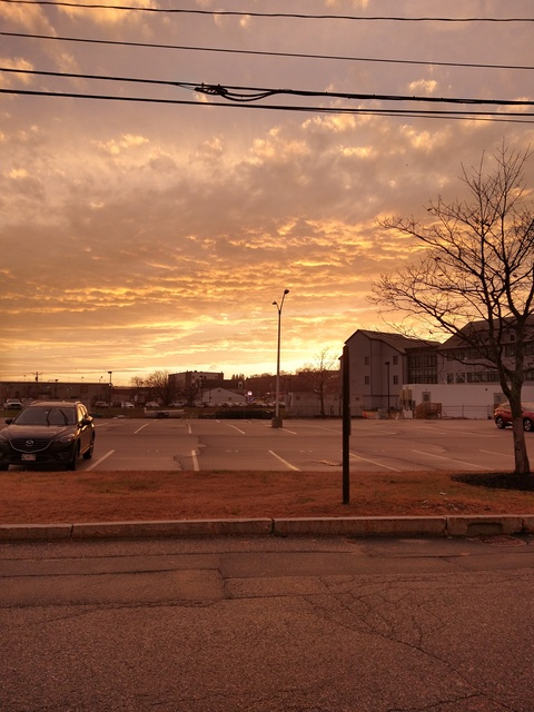 Video leaks terpinflavors