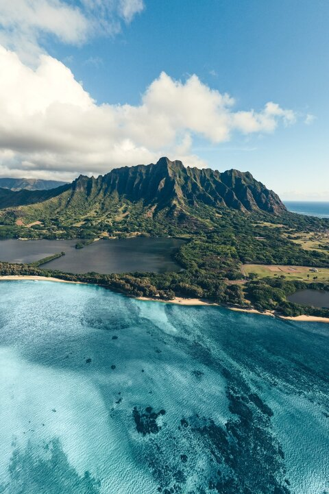 Video leaks tevinminds