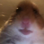 thatbitchemma (Em) OnlyFans Leaked Content 

 profile picture