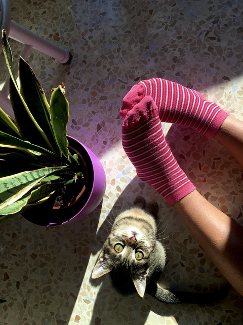 Video leaks the.pink.kitten