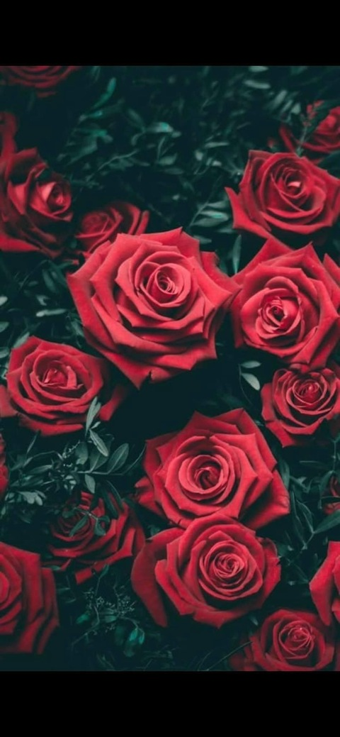 Video leaks theannamarie18