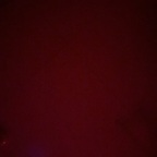thebearjew129224 Profile Picture
