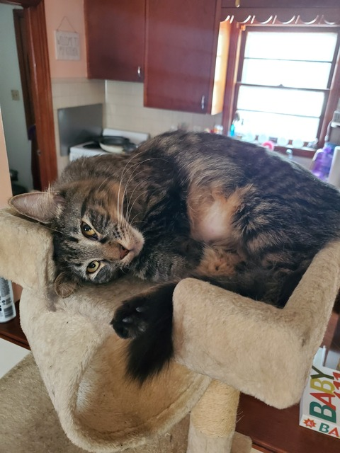 Video leaks thedadbod7