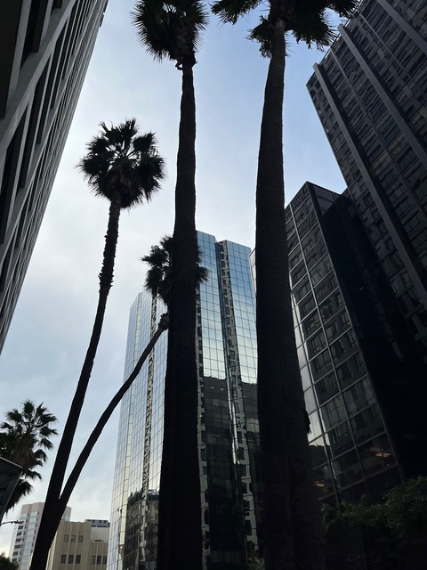 Video leaks theeonlynicole