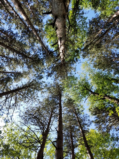 Video leaks theindyexhib