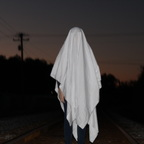 thephantomghost Profile Picture