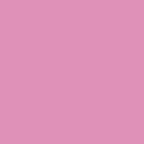 thepinkprincess OnlyFans Leaked 

 profile picture