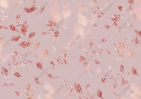 Video leaks theprincesvip