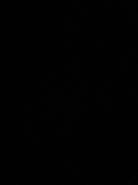 Video leaks therealmikelowrey