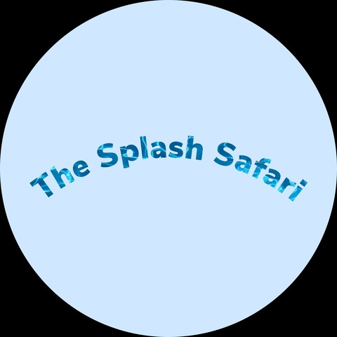 Video leaks thesplashsafari