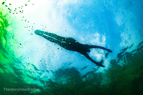 Video leaks thestoryinourbodies