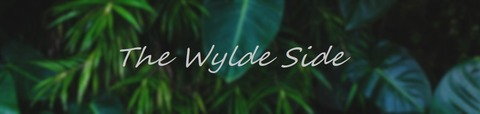 Video leaks thewyldeside