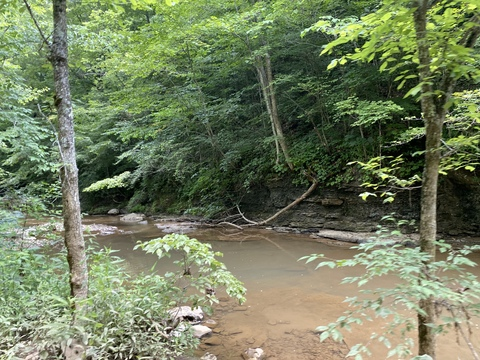 Video leaks thickmamaa25